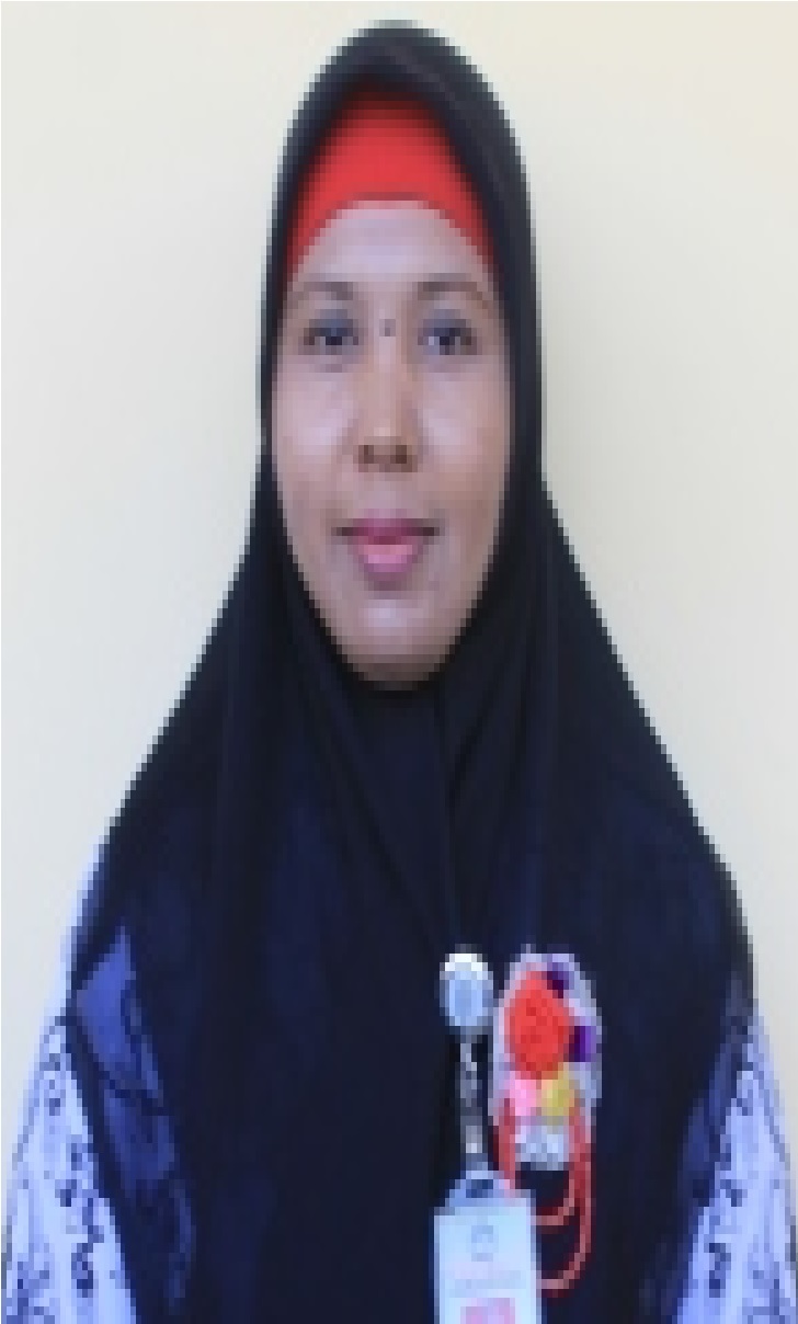 Mulyani Rince, S.Sos